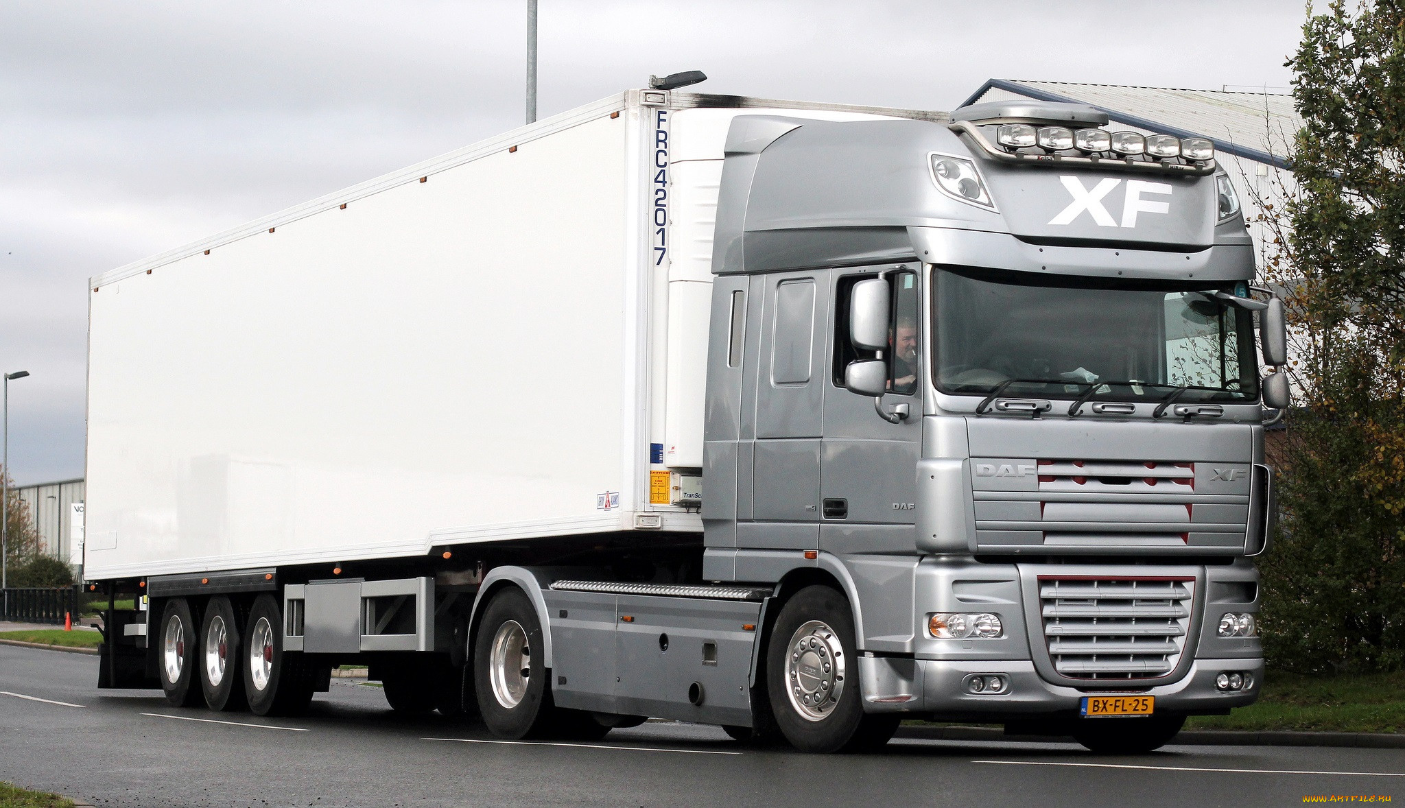 daf, , , , , , nv, , trucks